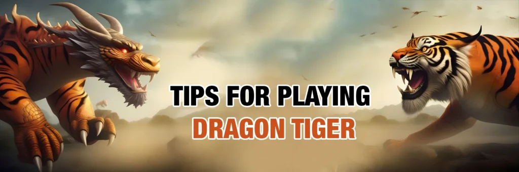 Tips for Playing Dragon Tiger | Magic win